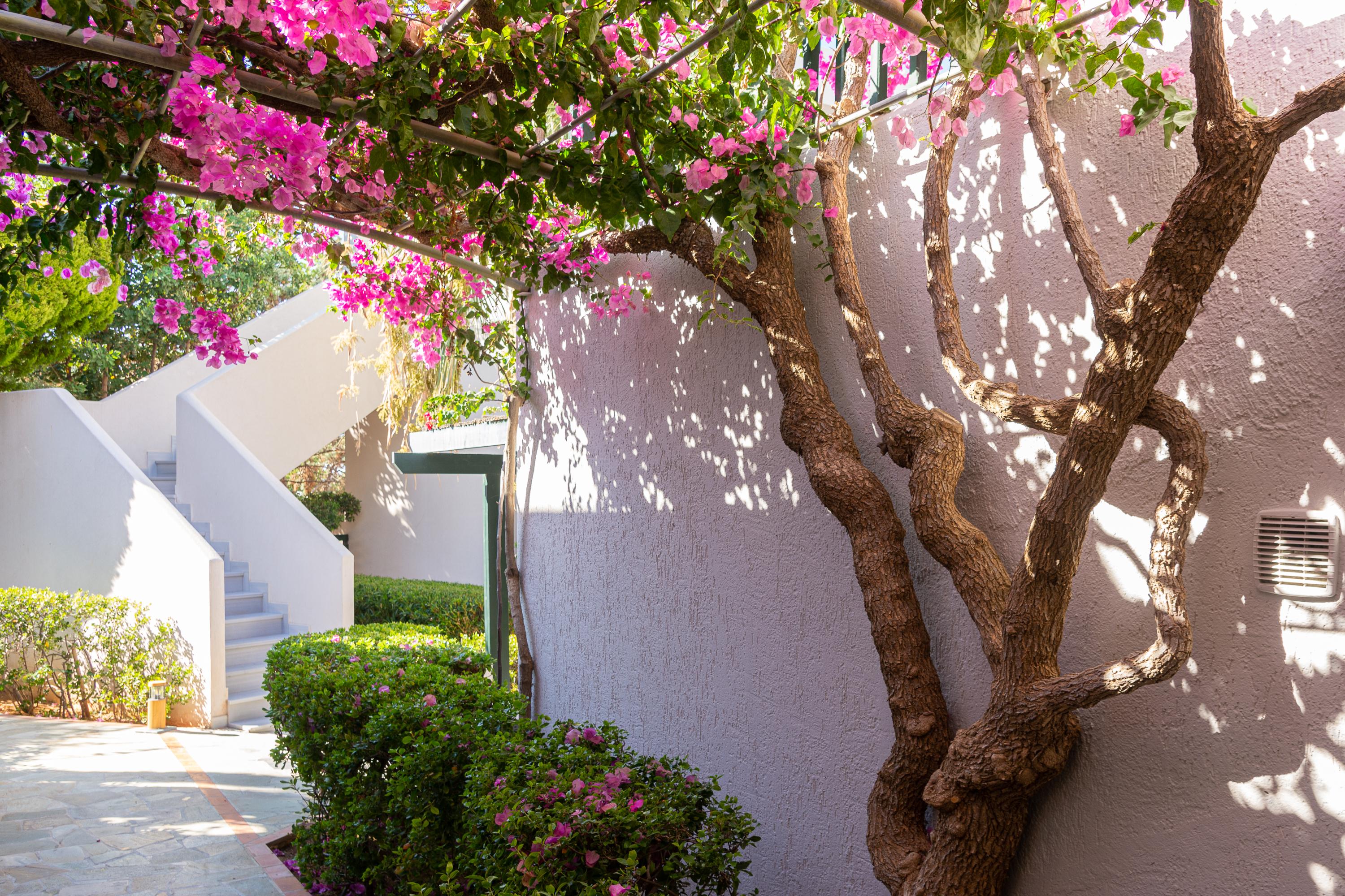 Anna Maria Village Hersonissos  Exterior foto